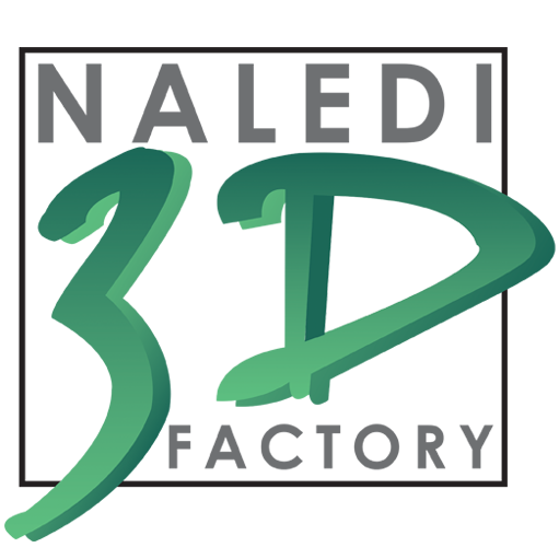 Naledi3D
